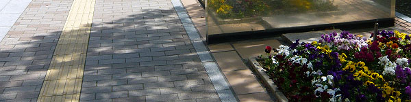 タイトルイメージ