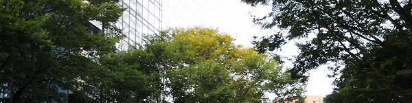 タイトルイメージ