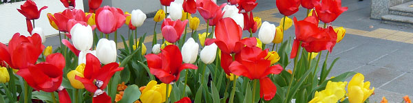 タイトルイメージ