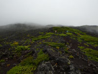 富士山　雲海１